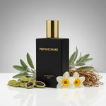 Black Perfume Shake 393 with aromatic lavender, spicy and woody notes for men in UAE