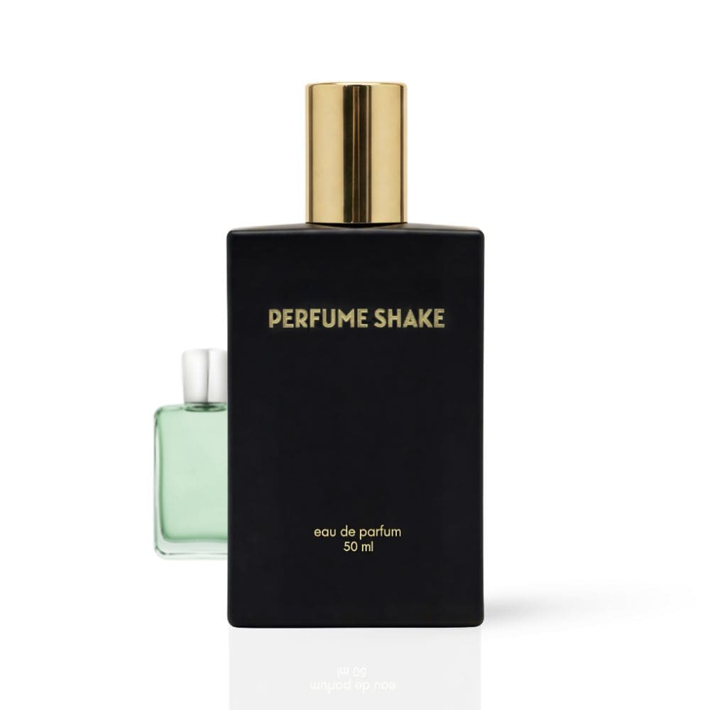 Perfume Shake Shake 398 perfume with aromatic green, citrus and woody notes for men in UAE