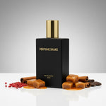 Perfume SHAKE 480  warm spicy and sweet fragrance notes for men in UAE