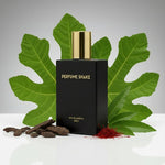 Black Perfume SHAKE 459  long-lasting warm woody and spicy fragrance for unisex in UAE